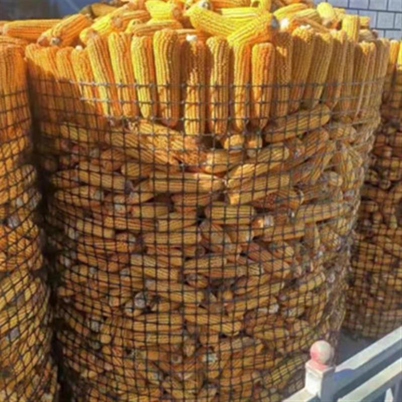 塑料网格防护网养殖菜园鱼塘拦鸡网子栅栏户外圈玉米网养鸡围
