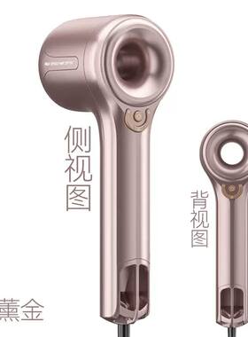 Radialight高速吹风机家用护发负离子速干大风力女士电吹风大功率
