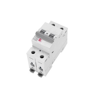 1P2P3P4PC型1 63A 小型断路器微断空开CH3N 常熟开关厂现货正品