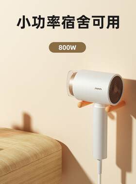 雷瓦负离子护发吹风机800W家用恒温冷热风温顺滑秀发学生宿舍1个