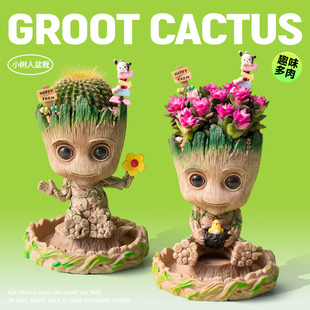 多肉植物仙人掌盆栽格鲁特仙人球花卉办公室桌面摆件礼物室内绿植