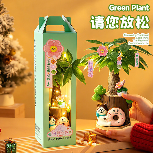 情绪植物创意摆件治愈解压礼物