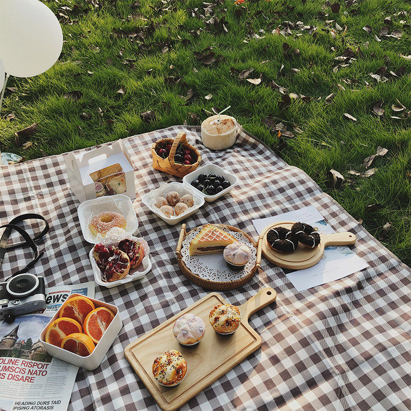 野餐垫防潮垫露营野餐布户外地垫沙滩垫防水音乐节坐垫子晒背趴垫