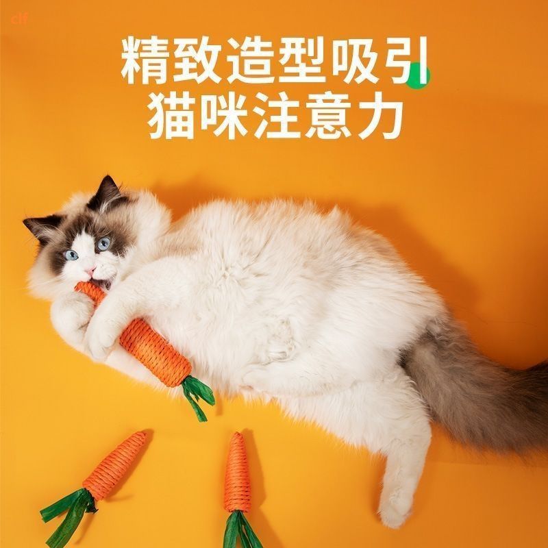 猫咪磨牙玩具发声胡萝卜