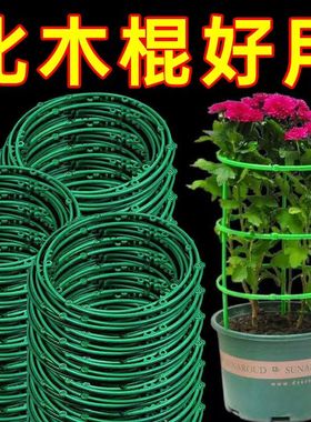 植物支架通用型花架拼接园艺兰花莲花花架子支撑杆内防掉爬藤架