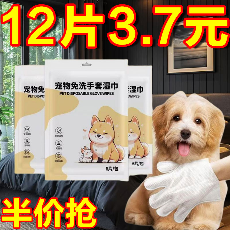 宠物免洗手套猫咪洗澡湿