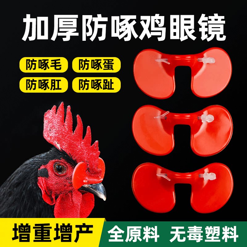 鸡用工具眼镜眼睛养殖无
