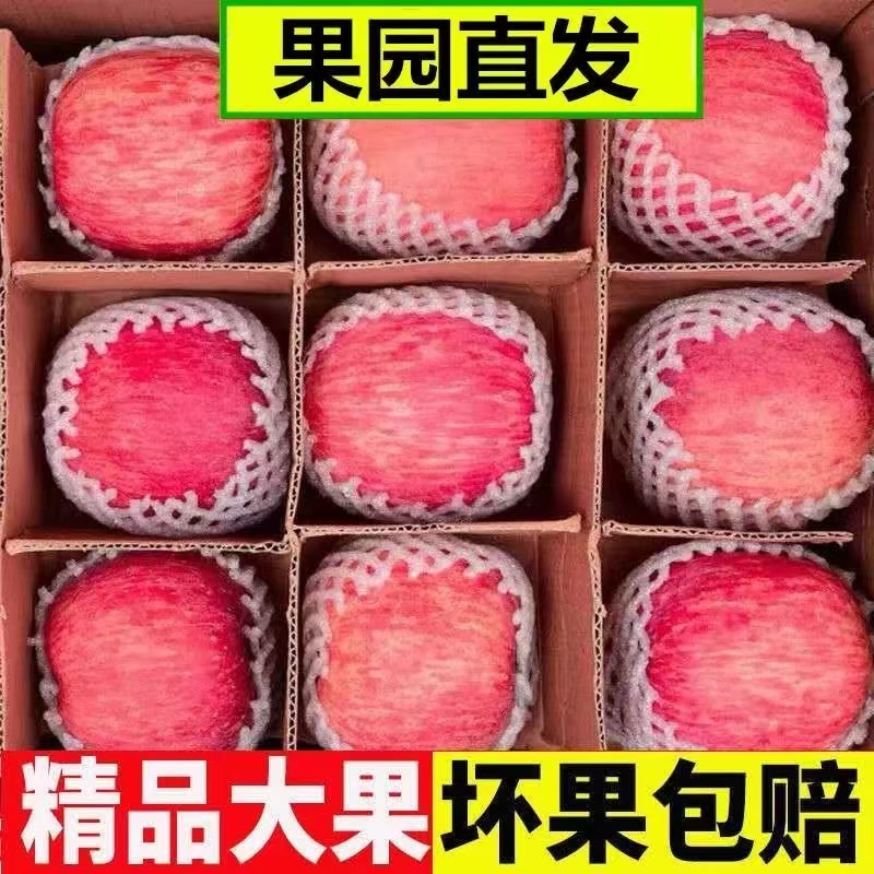 【脆甜多汁】正品山西红富士苹果