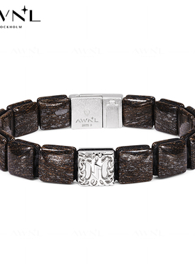 AWNL生命树巴西古铜辉石手链男轻奢小众手串礼物送男友