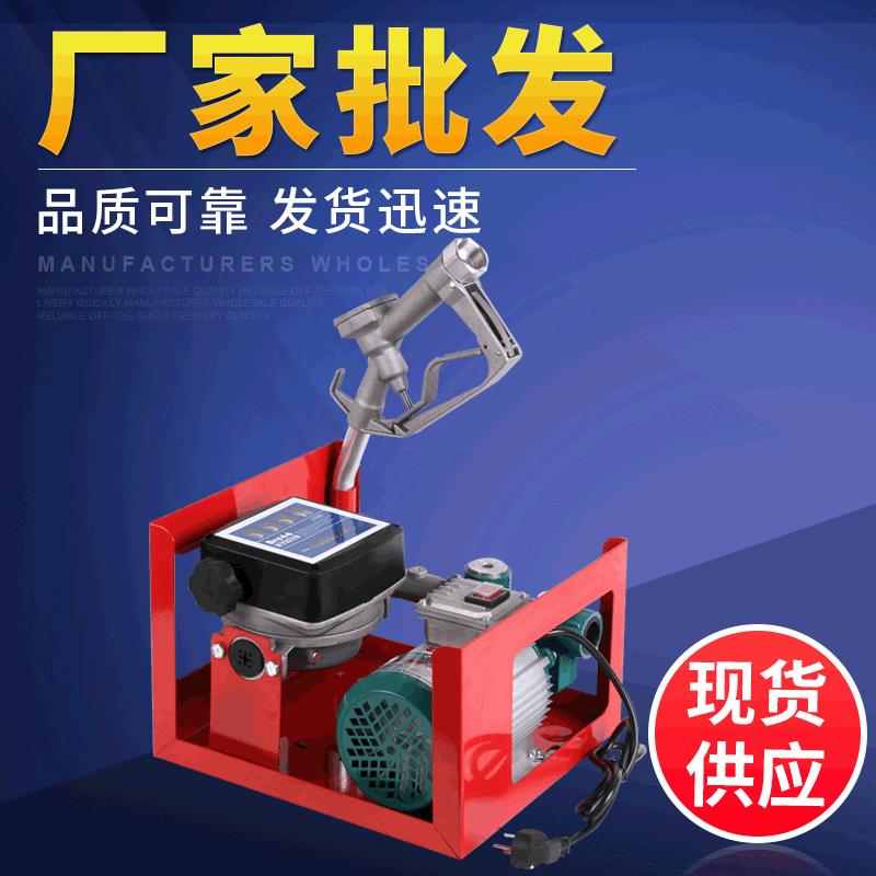 现货家用车载自动加油机微型汽车计量加油机便捷柴油注油器