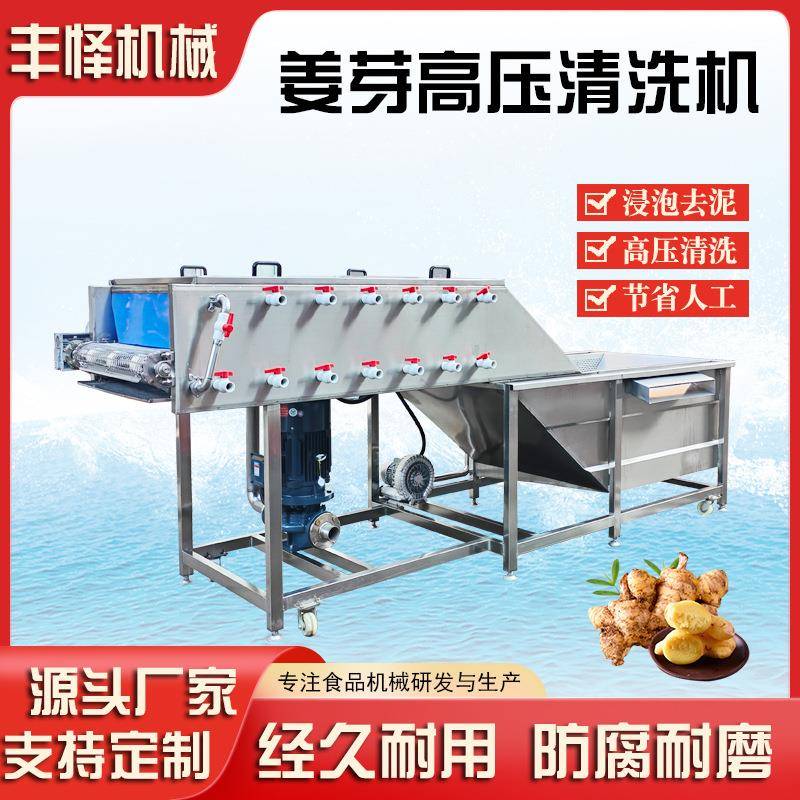 全自动蕨根清洗机高压喷淋生姜鲜姜清洗机商用中药材去泥设备