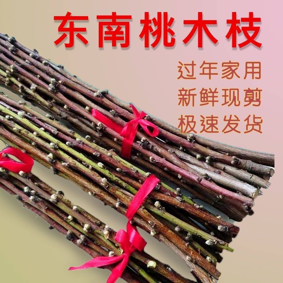 桃树枝驱邪东南新鲜桃木原木桃护身挂件婴儿木棍野生床头镇宅枝条