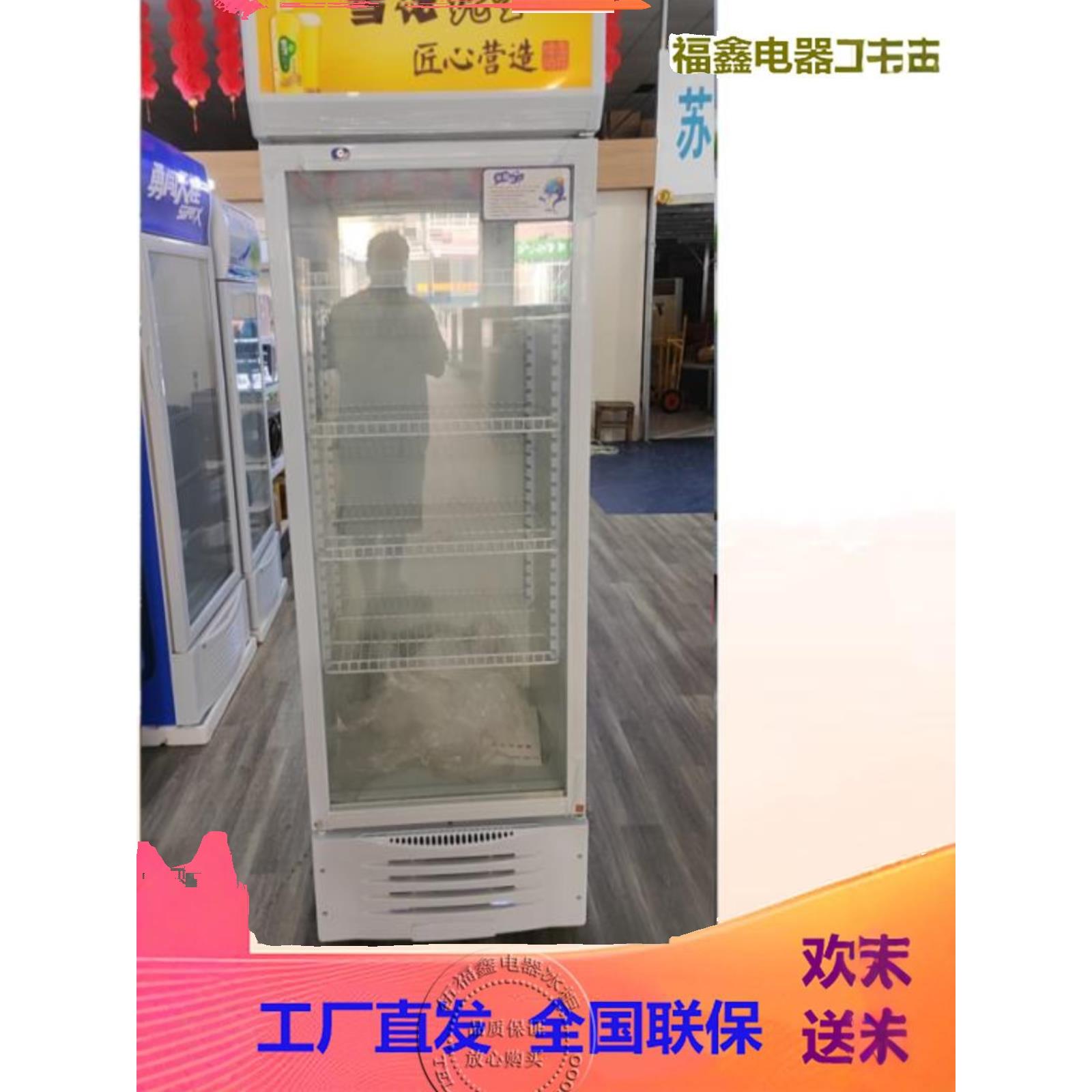 300升饭店酒店冷藏保鲜立式展示柜啤酒柜工程机饮料柜水果冷饮柜