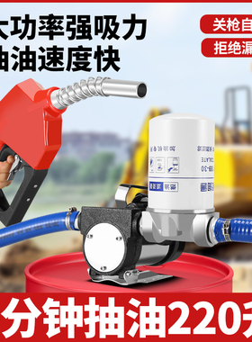 叶古电动抽油泵正反转12v24v220v柴油泵加油抽油机自吸泵加油神器