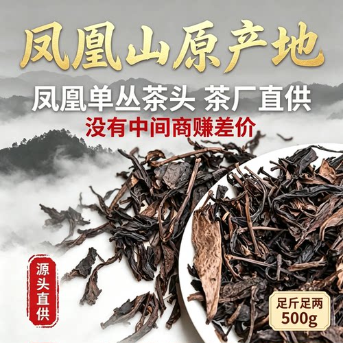 鸭屎香蜜兰香宋种东方红单枞茶头