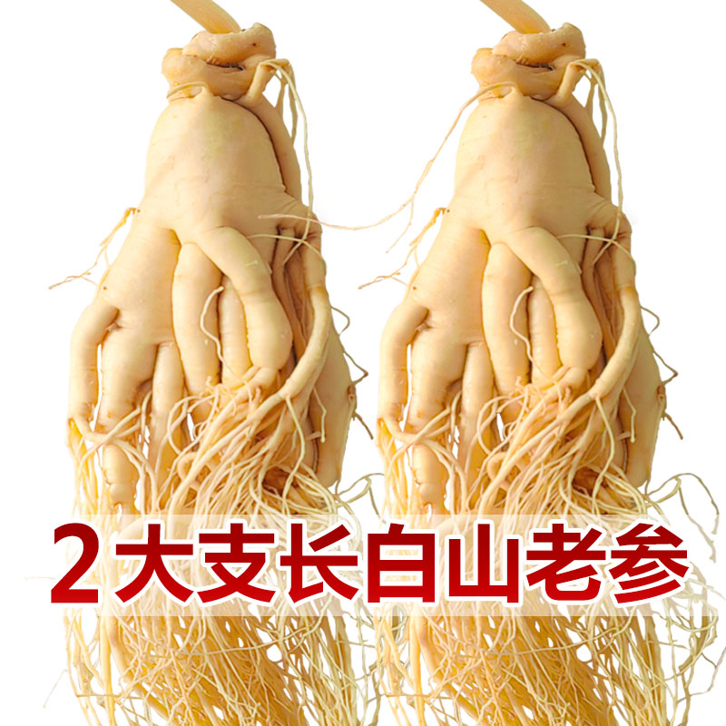 长白山人参煲汤泡酒专用鲜参东北特产吉林园参新鲜特大正宗新货参