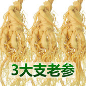 长白山整支人参煲汤泡酒专用鲜人参东北吉林园参正宗高品质大鲜参