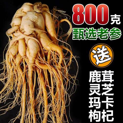 长白山整枝鲜人参煲汤泡酒专用参