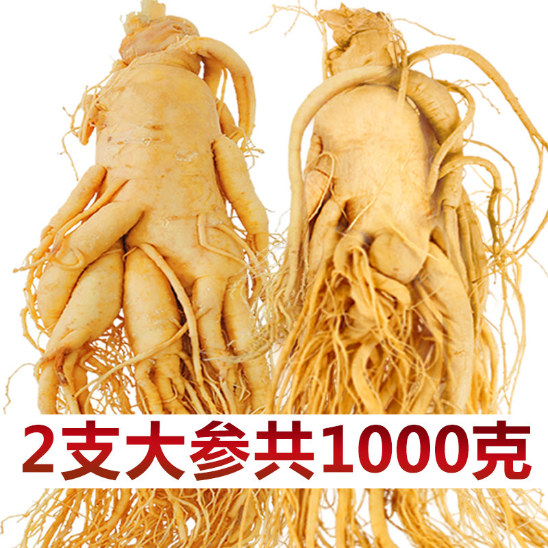 长白山整支新鲜人参东北特产煲汤泡酒专用人参非野山参特大保鲜参