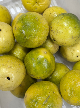 【芭芭农场】黄金百香果单果10粒装60g+ 酸爽可口皱皮不是坏