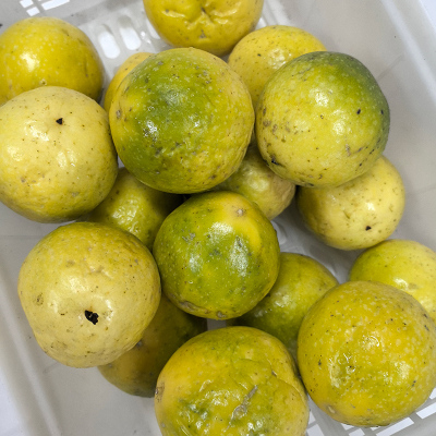 黄金百香果10粒装60g+