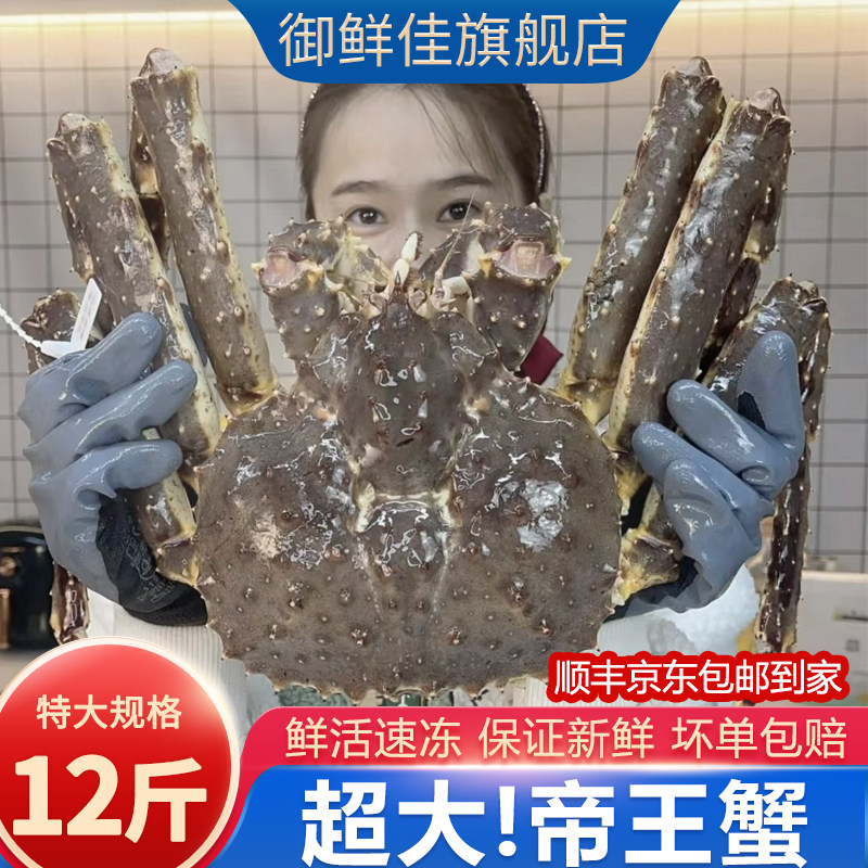 帝王蟹鲜活冷冻海鲜水产12斤帝皇蟹蜘蛛螃蟹年货送礼大礼包长脚蟹