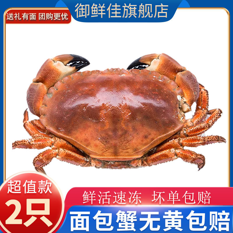 面包蟹海鲜年货大礼包膏蟹特大速冻黄金蟹大螃蟹母蟹珍宝蟹2只装