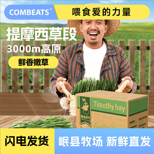 2025年新草烘干提摩西草晒干干草