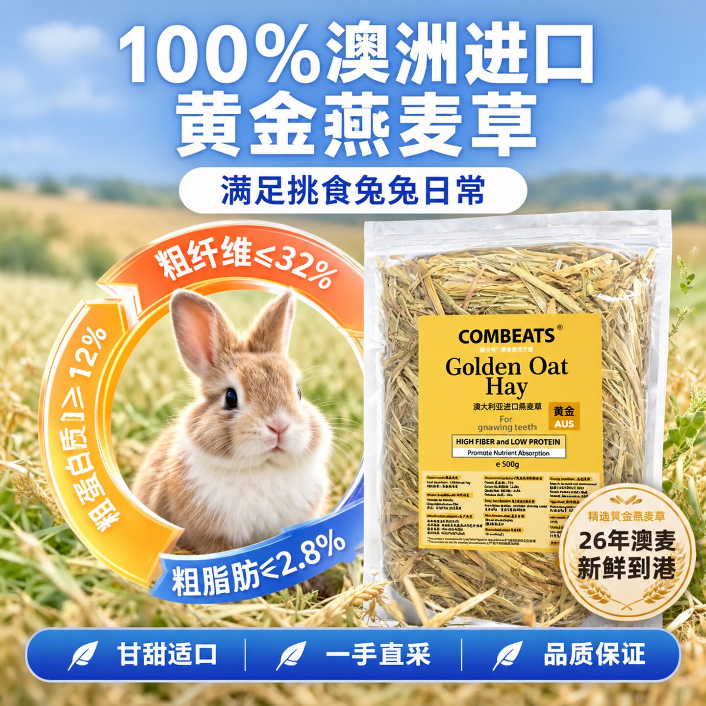 澳洲黄金燕麦草兔子草进口澳麦草