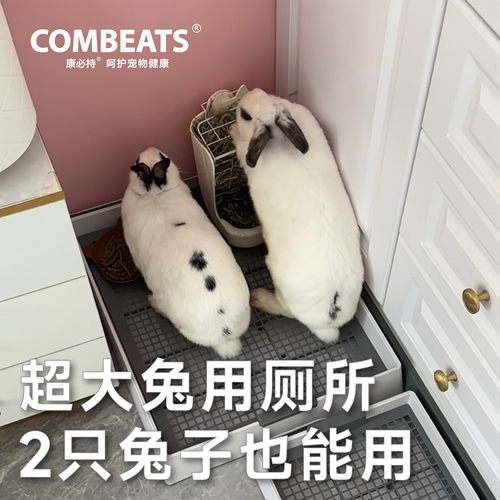 康必持兔子厕所大号分体式易清洁