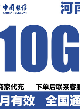 河南电信流量充值10GB流量包3G4G5G全国通用流量叠加油包当月有效