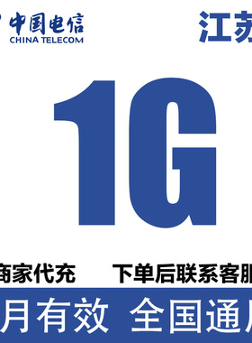 江苏电信流量充值1GB流量包3/4/5G全国通用流量包当月有效加油包
