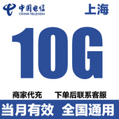上海电信流量充值10G月包中国电信流量全国通用 流量包当月有效