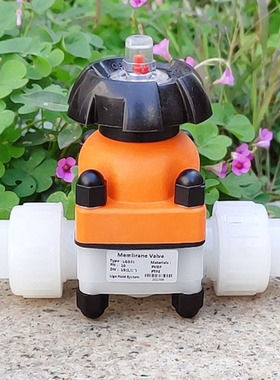 环保材质DN15/20/25/32/40由令PVDF隔膜阀工程塑料水管开关截止阀