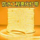 led灯带220V超亮工程户外防水工地矿井养殖双排白光暖光低压24v36