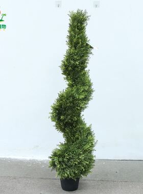 仿真绿植蛇形松柏树室内外家居办公室造景摆件落地假植物盆栽绿植