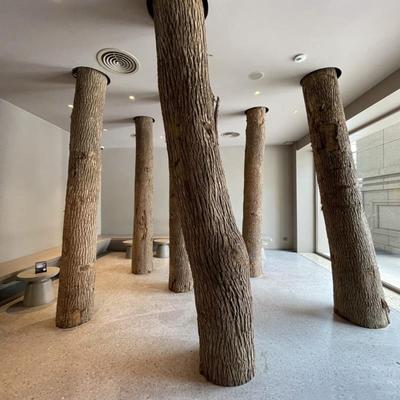 实木树墩天然树桩木墩松树柳树墩木敦子原木凳木头凳子木根木头桩