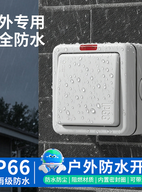 户外防水开关ip66全密封单开双控开关面板室外防暴雨明装防水按钮