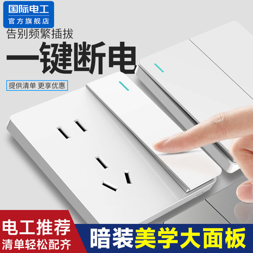 国际电工86型墙壁PC双开双控开关