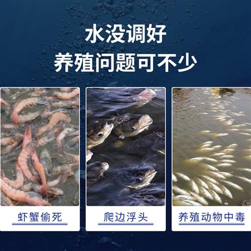 硝化细菌片水产养殖生物降氨氮亚硝酸盐分解粪便鱼缸净化水质底改