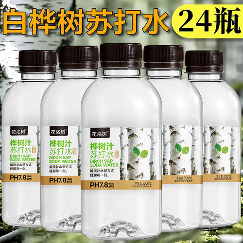 新店特价大促桦树汁苏打水饮料好喝不贵整箱300ml*24瓶装厂家直供