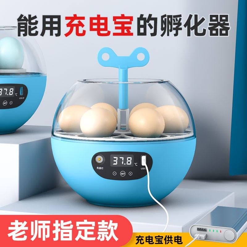 新伟达孵化器家用小型孵蛋器儿童卡通孵化机孵化箱小鸡孵化器自动怎么看?