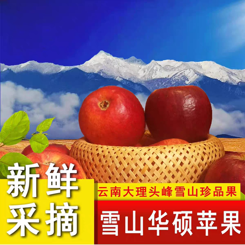 云南华硕苹果高山雪果脆甜多汁新鲜水果现摘现发一整箱当季