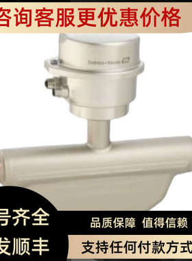 议价  E+H  音叉开关  FTL31-AA4U2BAWBJ