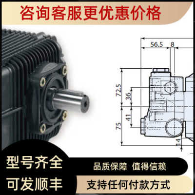 ANNOVI REVERBERI高压柱塞泵SXW21.35 COD.2871