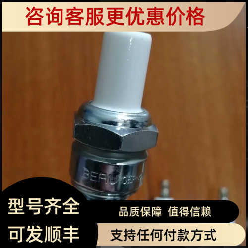 FM贝鲁BERU点电极花塞ZE18-12-600A1常规