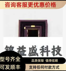 HAMAMATSU探测器K12729-010K