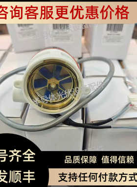 GEMS流量计237500 155425 155485 156265 156268 180395 234105