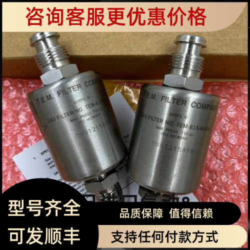 T.E.M. FILTER COMPANY过滤器GAS FILTER NO. TEM-815-6/8/MS