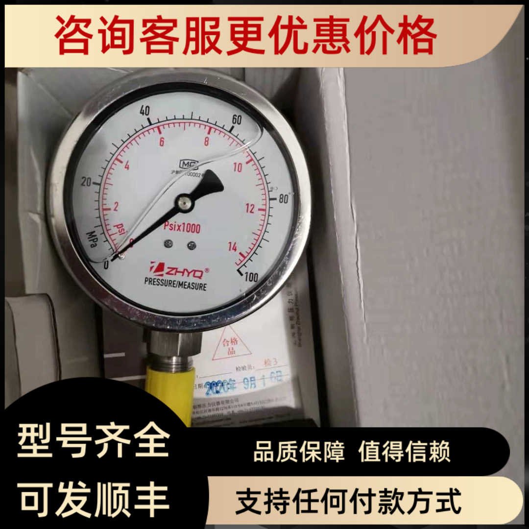 PT124Y-620-100MPA-M20  东华申鹿均质机上海朝辉卫生隔膜压力表